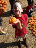Little pumpkin for the little guy